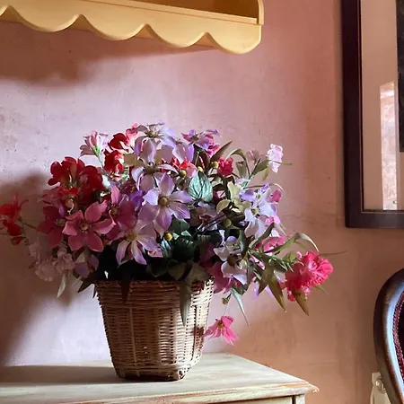 La Casa Del Bosque *