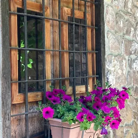 La Casa Del Bosque בקתה Cabra de Mora