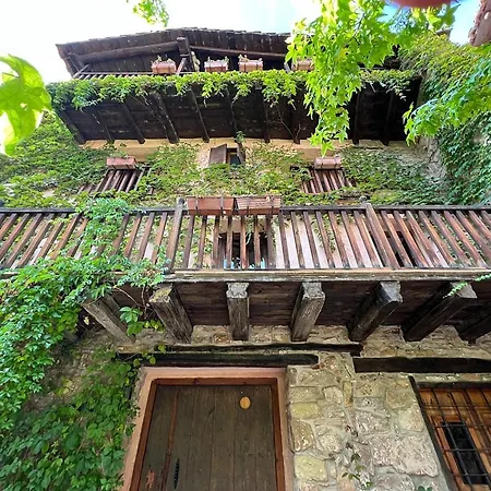 La Casa Del Bosque Cabra de Mora