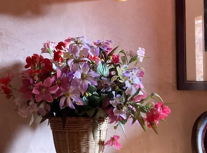 La Casa Del Bosque *