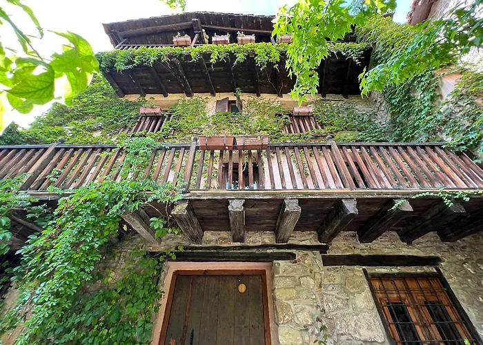 La Casa Del Bosque Cabra de Mora